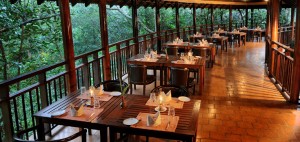 Wayanad Restaurant