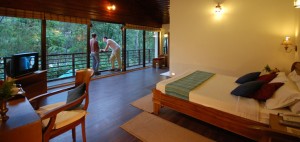 Carmelia Haven