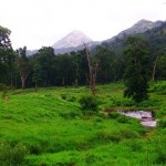 Elephant Camp at Parambikulam