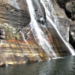 Neyyar Wildlife Sanctuary