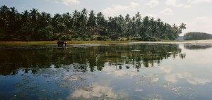 Kappil Lake