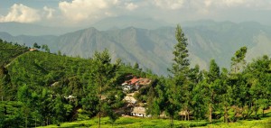 Kolukkumalai
