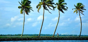 Kuttanad Kerala