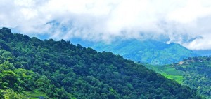 Misty Mountains - Munnar