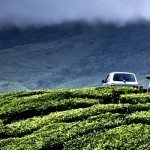 Munnar Drive