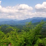 Nilambur
