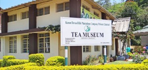 Tea Museum Munnar
