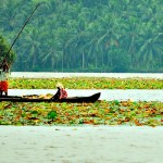 Vellayani Lake