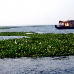Vembanad Lake , Kerala
