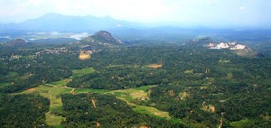 View from Ambukuthi hill