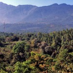 top of edakkal caves