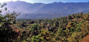 top of edakkal caves