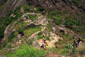 Ambukuthi hill Wayanad