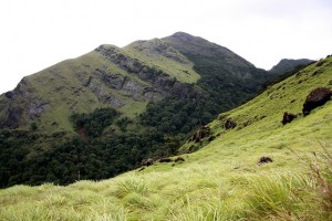Chembra Peak in Wayanad