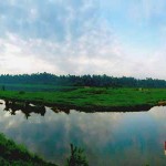 Crocodile Ghat in Kalady