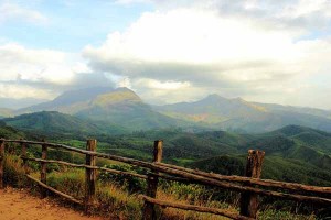 Eravilkulam National Park in Munnar