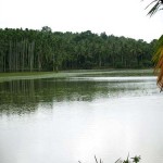 Manjeri Near Kottakkal