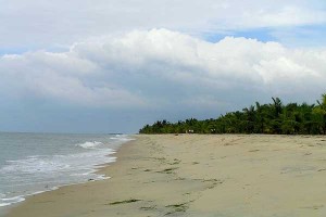 Marari Beach Near Alleppey