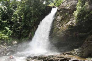Soochipara Falls Wayanad