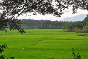 Sultan bathery Wayanad