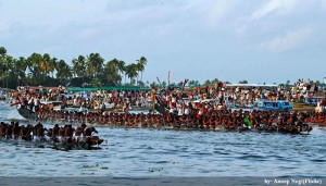 Witness a Snake Boat Race